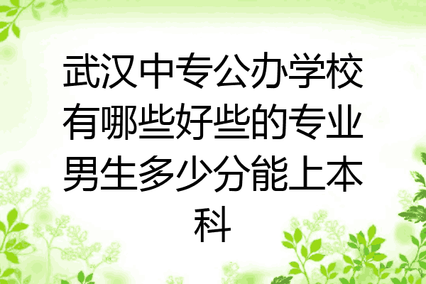 武汉中专公办学校有哪些好些的专业男生多少分能上本科