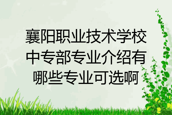 襄阳职业技术学校中专部专业介绍有哪些专业可选啊