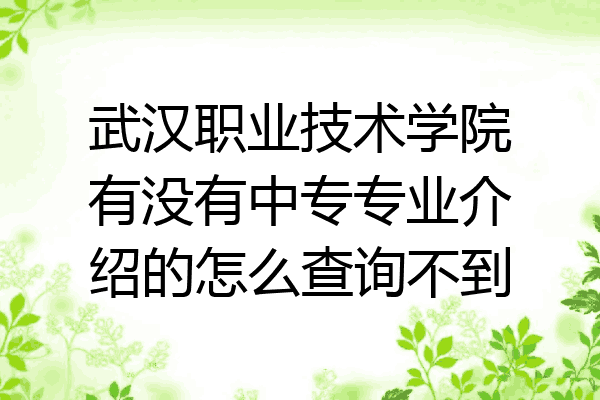 武汉职业技术学院有没有中专专业介绍的怎么查询不到