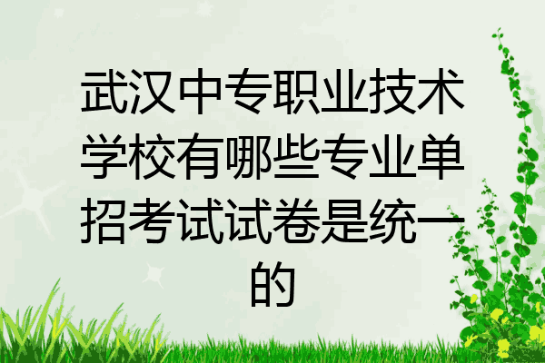 武汉中专职业技术学校有哪些专业单招考试试卷是统一的