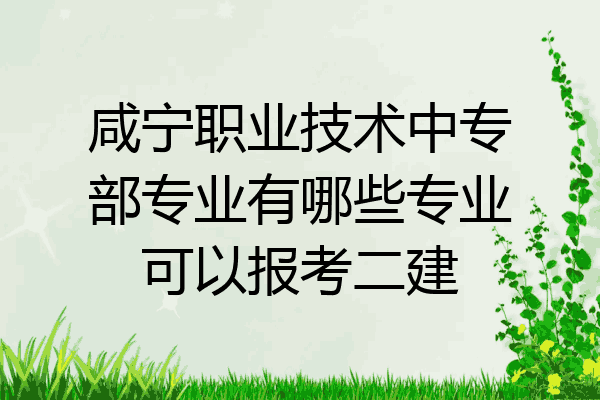 咸宁职业技术中专部专业有哪些专业可以报考二建