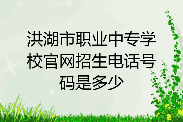 洪湖市职业中专学校官网招生电话号码是多少