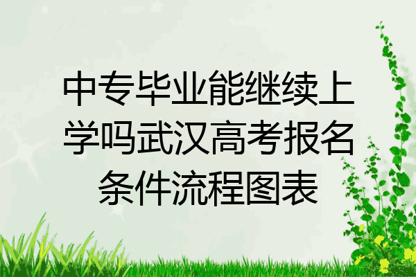 中专毕业能继续上学吗武汉高考报名条件流程图表