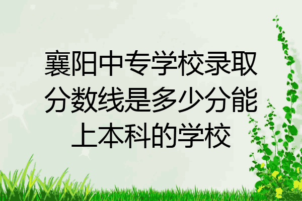 襄阳中专学校录取分数线是多少分能上本科的学校