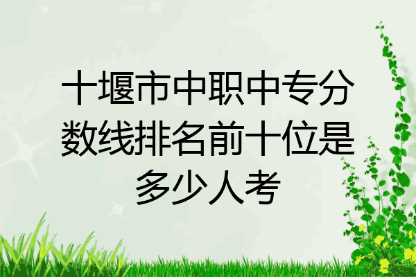 十堰市中职中专分数线排名前十位是多少人考