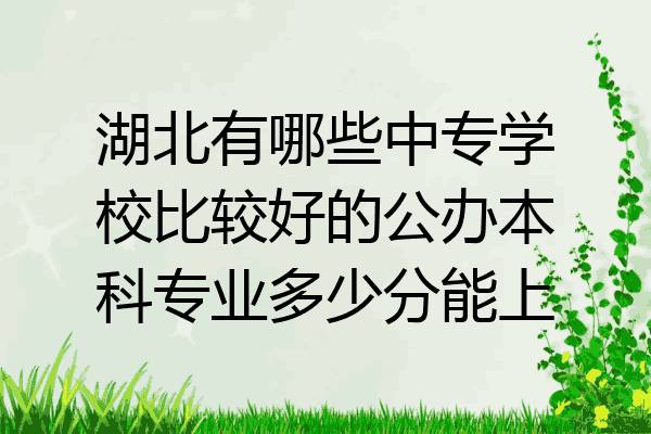 湖北有哪些中专学校比较好的公办本科专业多少分能上