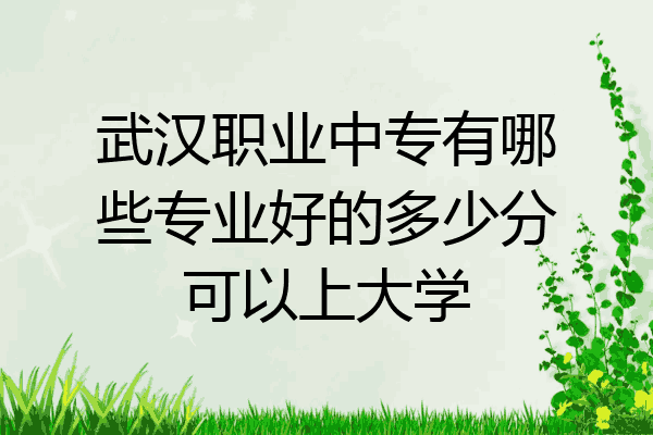 武汉职业中专有哪些专业好的多少分可以上大学