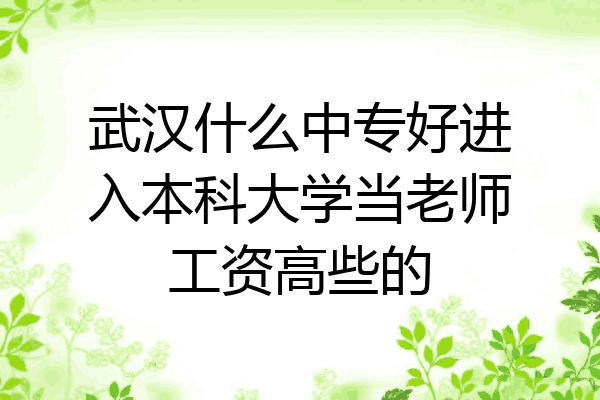 武汉什么中专好进入本科大学当老师工资高些的