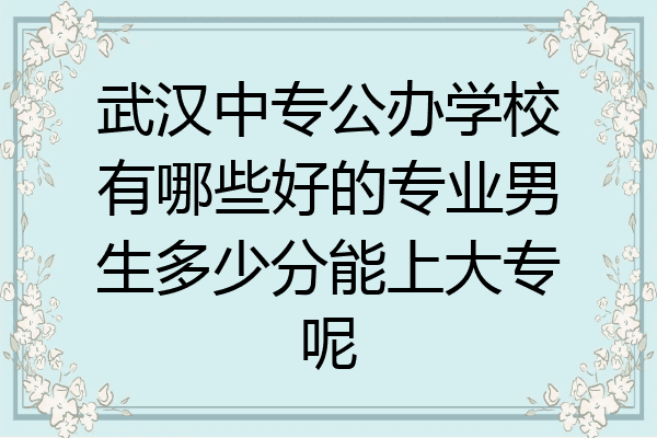 武汉中专公办学校有哪些好的专业男生多少分能上大专呢