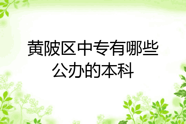 黄陂区中专有哪些公办的本科