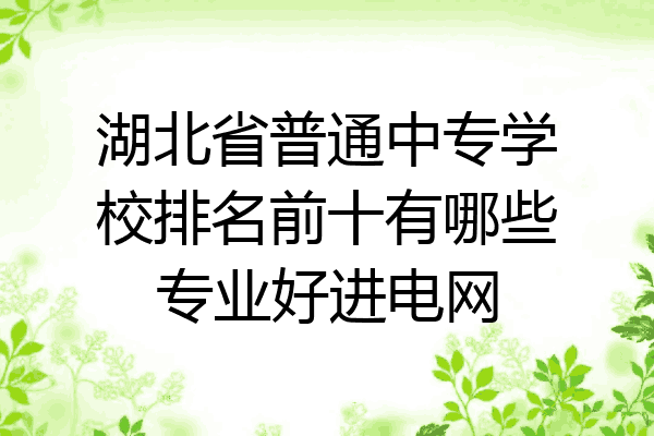 湖北省普通中专学校排名前十有哪些专业好进电网