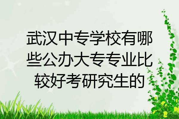 武汉中专学校有哪些公办大专专业比较好考研究生的