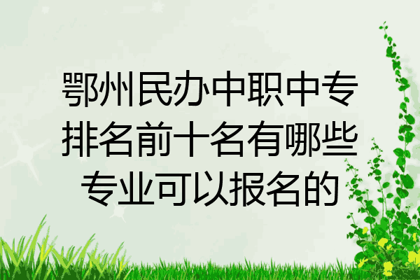 鄂州民办中职中专排名前十名有哪些专业可以报名的
