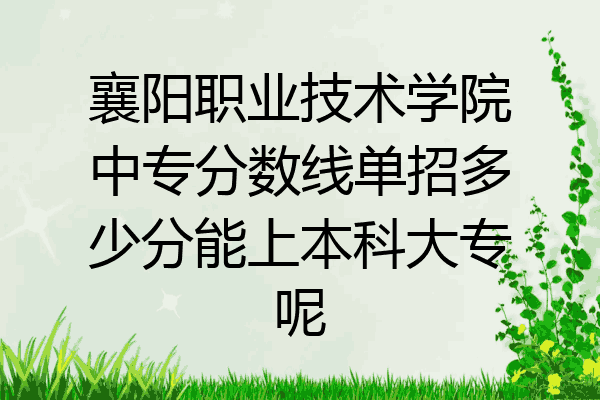 襄阳职业技术学院中专分数线单招多少分能上本科大专呢