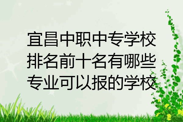 宜昌中职中专学校排名前十名有哪些专业可以报的学校