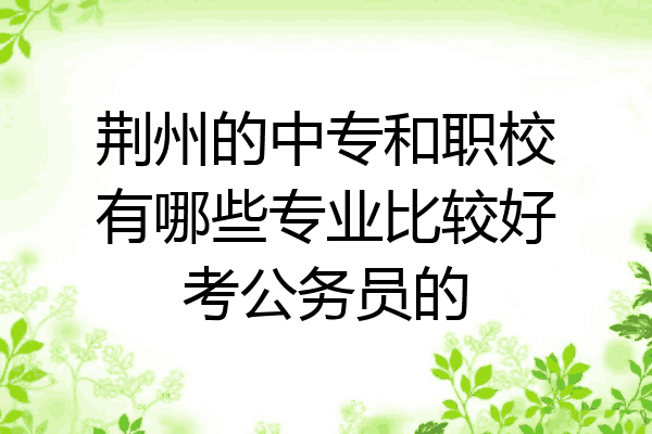 荆州的中专和职校有哪些专业比较好考公务员的