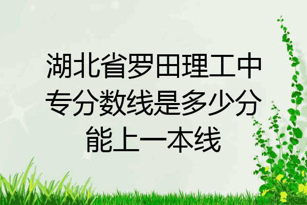 湖北省罗田理工中专分数线是多少分能上一本线