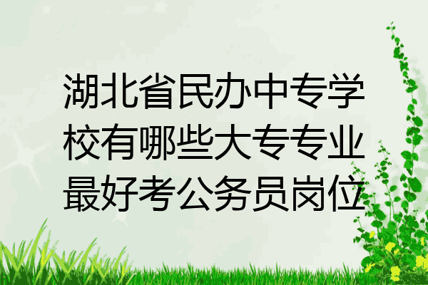 湖北省民办中专学校有哪些大专专业最好考公务员岗位