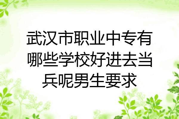 武汉市职业中专有哪些学校好进去当兵呢男生要求