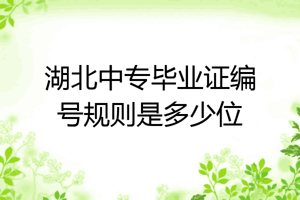 湖北中专毕业证编号规则是多少位