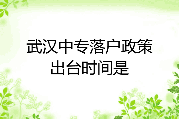 武汉中专落户政策出台时间是