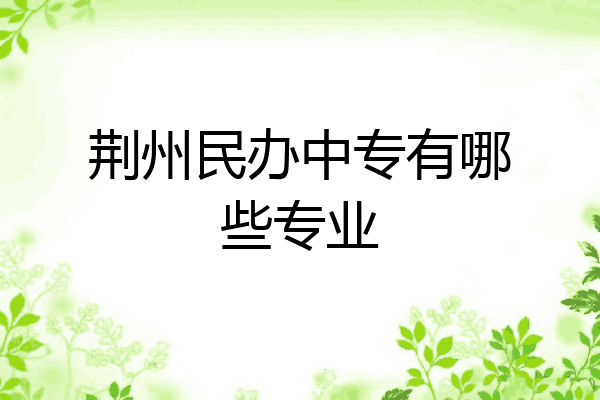 荆州民办中专有哪些专业