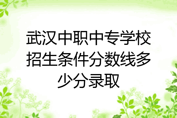 武汉中职中专学校招生条件分数线多少分录取