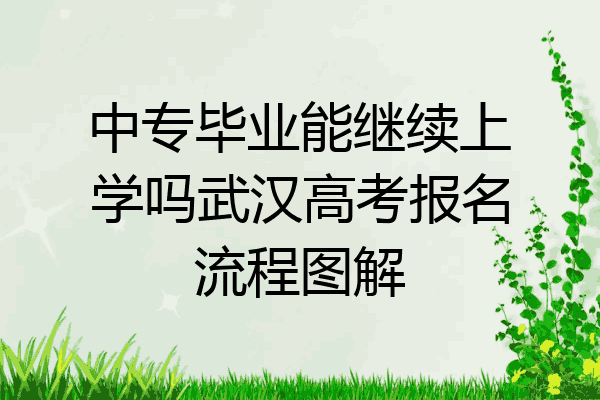 中专毕业能继续上学吗武汉高考报名流程图解