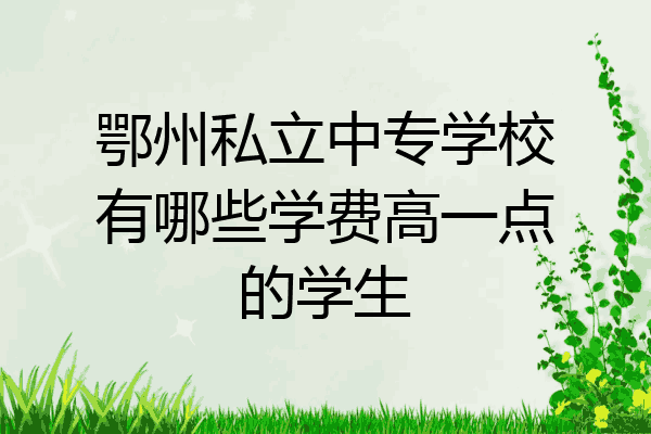 鄂州私立中专学校有哪些学费高一点的学生