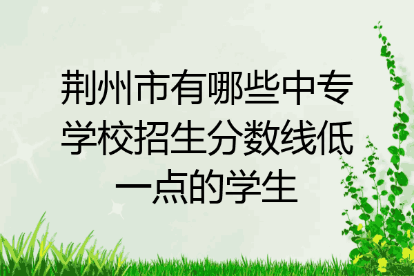 荆州市有哪些中专学校招生分数线低一点的学生