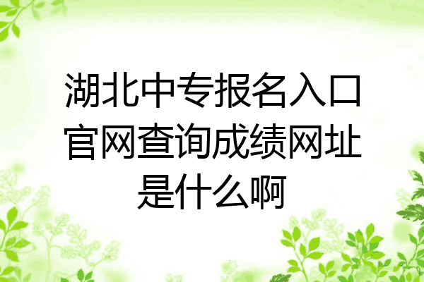 湖北中专报名入口官网查询成绩网址是什么啊