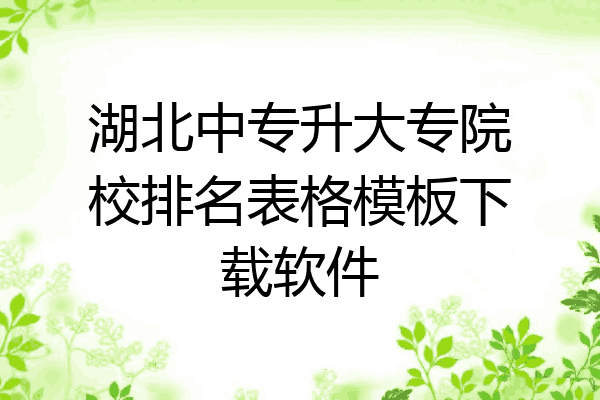 湖北中专升大专院校排名表格模板下载软件