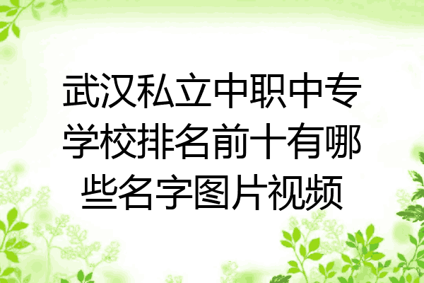 武汉私立中职中专学校排名前十有哪些名字图片视频