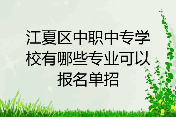 江夏区中职中专学校有哪些专业可以报名单招