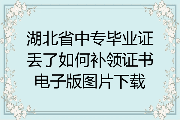 湖北省中专毕业证丢了如何补领证书电子版图片下载