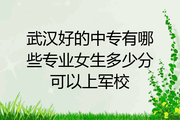 武汉好的中专有哪些专业女生多少分可以上军校