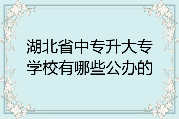 湖北省中专升大专学校有哪些公办的