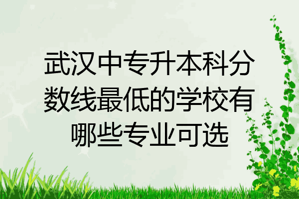 武汉中专升本科分数线最低的学校有哪些专业可选