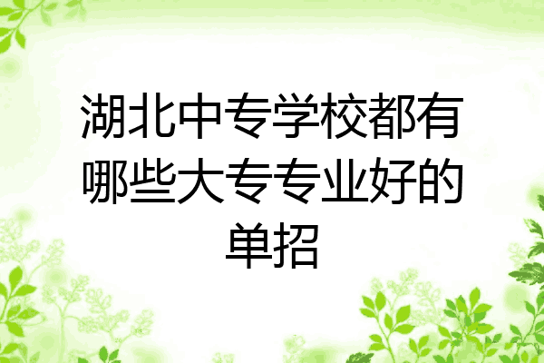 湖北中专学校都有哪些大专专业好的单招