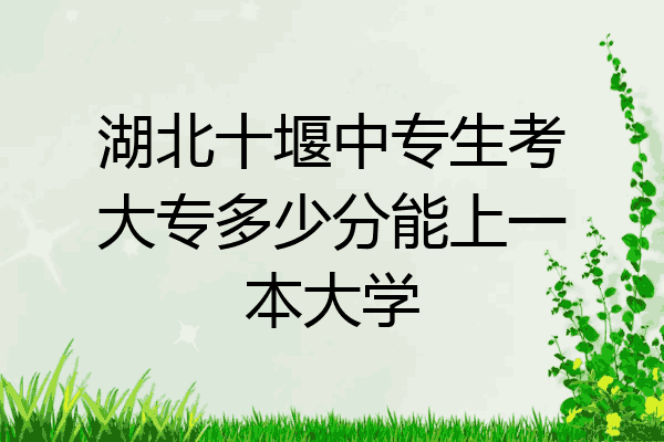 湖北十堰中专生考大专多少分能上一本大学