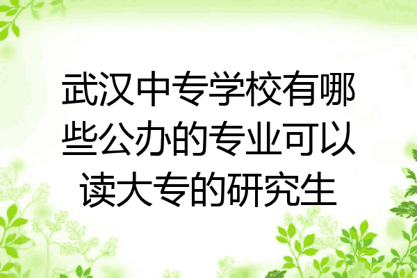 武汉中专学校有哪些公办的专业可以读大专的研究生