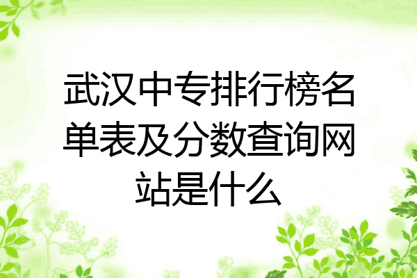 武汉中专排行榜名单表及分数查询网站是什么