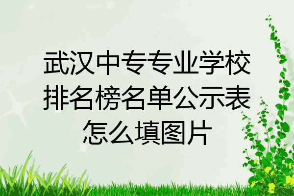 武汉中专专业学校排名榜名单公示表怎么填图片