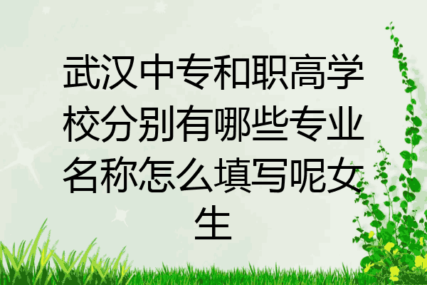 武汉中专和职高学校分别有哪些专业名称怎么填写呢女生