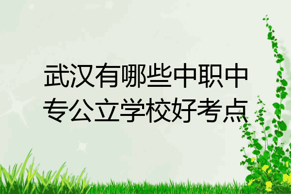 武汉有哪些中职中专公立学校好考点