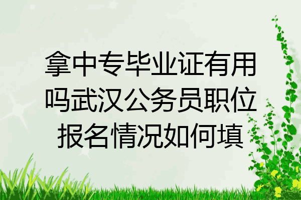 拿中专毕业证有用吗武汉公务员职位报名情况如何填