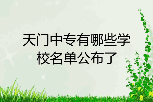 天门中专有哪些学校名单公布了