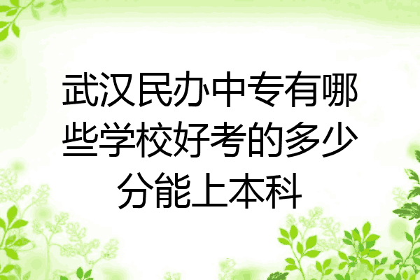 武汉民办中专有哪些学校好考的多少分能上本科