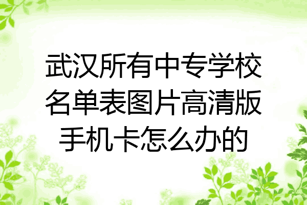 武汉所有中专学校名单表图片高清版手机卡怎么办的