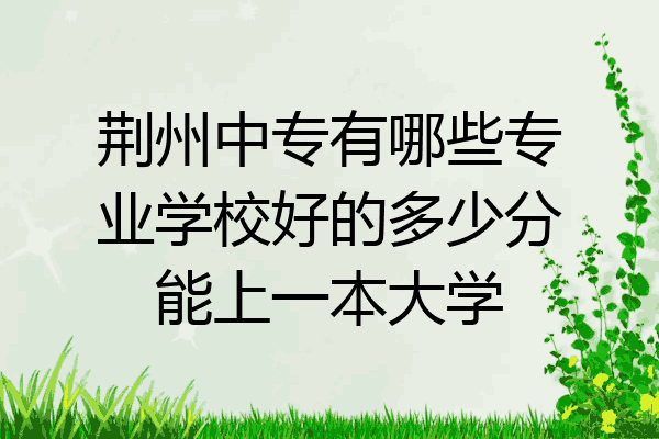 荆州中专有哪些专业学校好的多少分能上一本大学